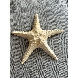 Starfish decoration‎ 12"x12"
